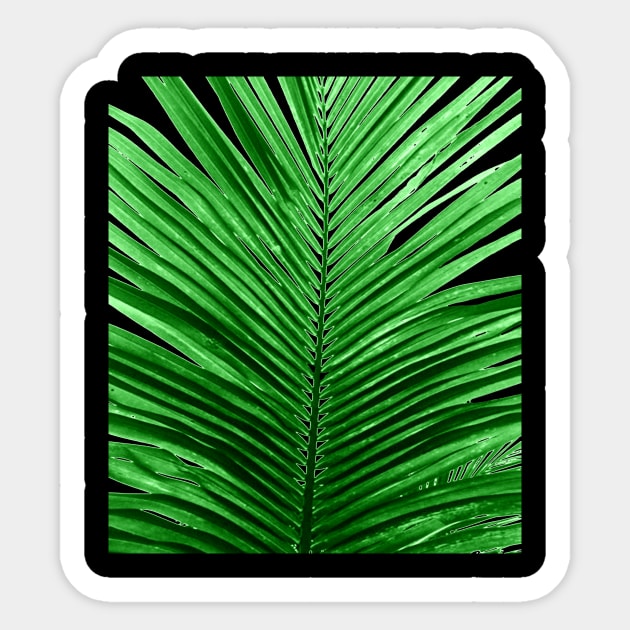 TROPICAL PALM LEAF Sticker by GOTOCREATE